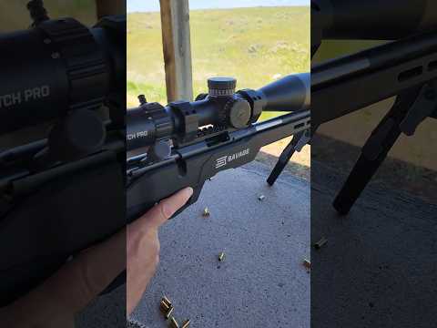 Savage B22 Precision Lite Bolt-Action Rifle