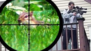 Chipmunk Pest Control (June 25, 2011)