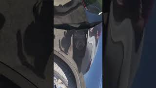 2013 bmw x1 sunroof drain test