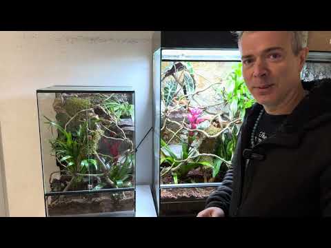 ChameleonFarm - Vajon lehet überelni a mestert?