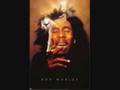Bob Marley - Natural Mystic 