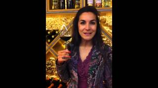 preview picture of video 'Wine Tasting Santar, Portugal'