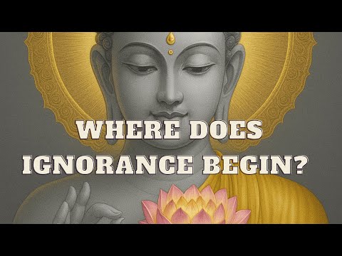 Where Does Ignorance Begin? A Practice Map for Dispelling the Darkness.