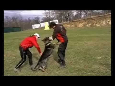 Mia od Natálky - Defence - March 2010