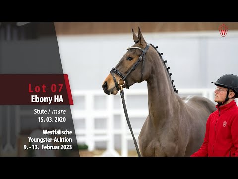 Youngster Online-Auktion Lot 07 Ebony HA Stute v. Escamillo - De Niro