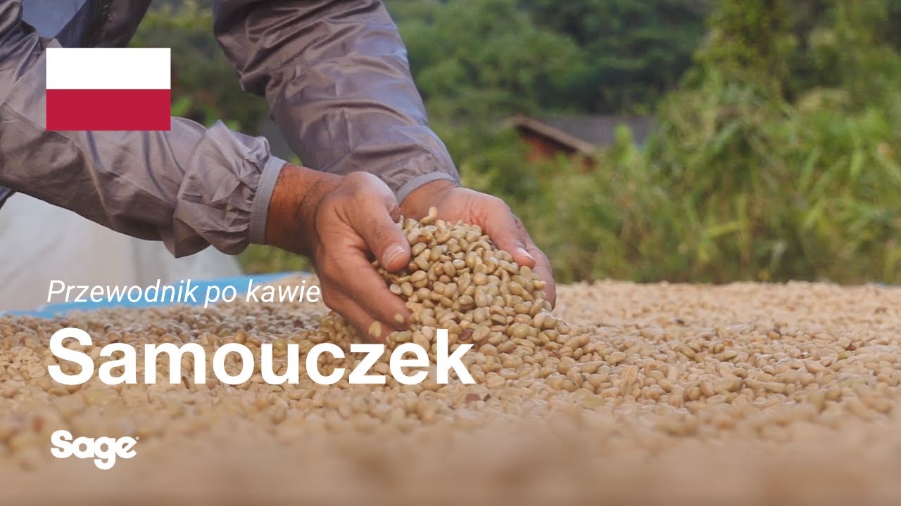 Wybór odpowiednich ziaren
