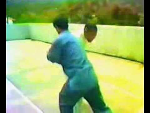 董英杰之子太极教学