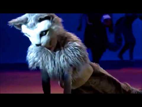 História de Uma Gata video
