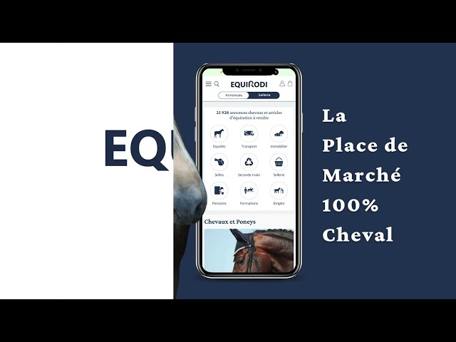 Top Poney de sport pour cso