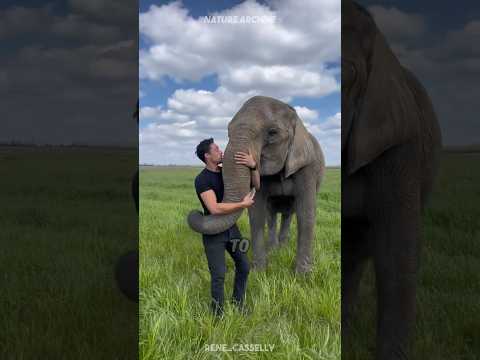 The Adorable Truth About Elephants 😍