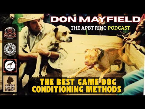Don Mayfield: The Greatest PitBull Conditioner in APBT History | Game Dog Culture Podcast