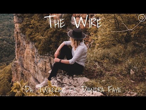 The Wire - Da Tweekaz x Diandra Faye - [Sub Español]