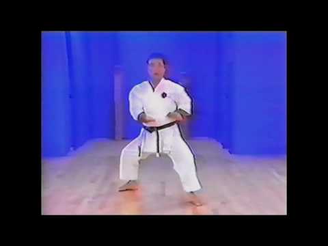 Goju ryu kata. Seiyunchin