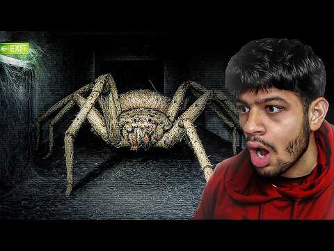 TRAPPED WITH A SUPER FAST "HUNTSMAN SPIDER"