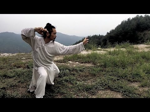 Wudang Long Hua Quan (60fps) - Mestre Chen Shiyu