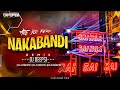 Nakabandi Remix DJ Deepsi Usha Uthup Sridevi नाकाबंदी Are You Ready Nakabandi Dj Son