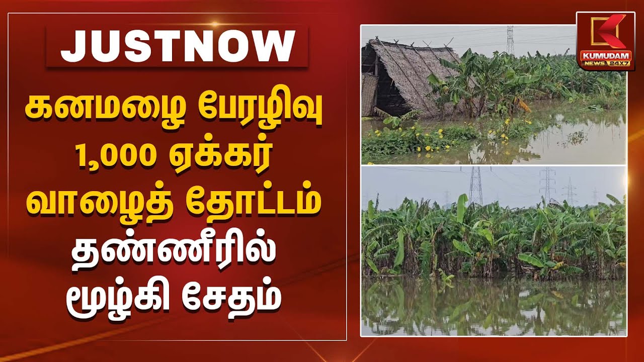 கனமழை பேரழிவு 1,000 ஏக்கர் வாழைத் தோட்டம் தண்ணீரில் மூழ்கி சேதம் | Banana Plantation Damage