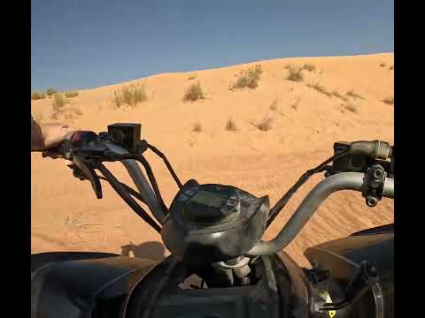 Twiggy takes a tumble