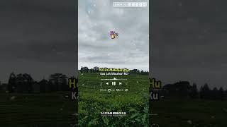 Download lagu Mauliate hasian - Gok Malau ( Lirik Dan Artinya) mp3