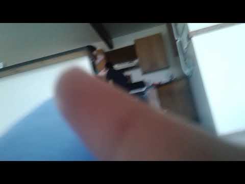 Dog fight with clapping girl lakesha