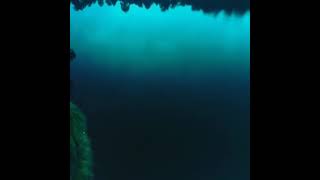 Download lagu Film horror indonesia titisan setan 2 (2021) mp3 Download lagu Film horror indonesia titisan setan 2 (2021) mp3