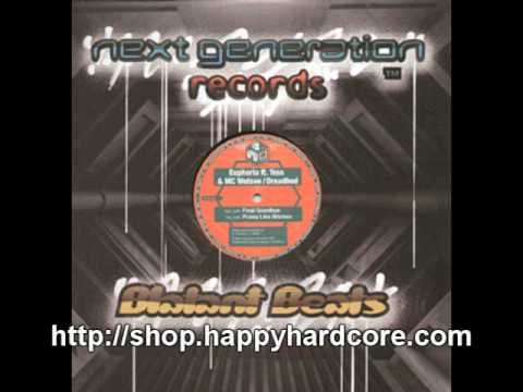 Euphoria Ft Wotsee & Tess - Final Goodbye / uk hardcore vinyl / Next Generation - NG082
