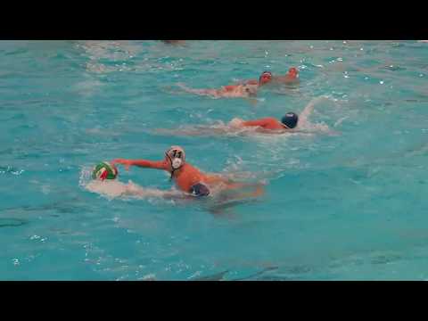 Tatabánya - VASAS (7)