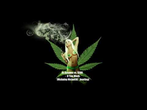 DJ Antoine vs. QIDD -  If You Work [Nickolay Nickel(H)_bootleg]