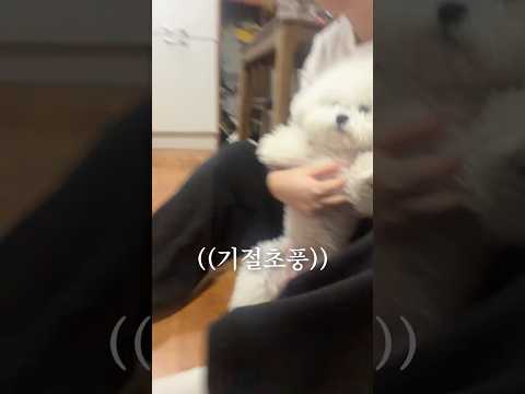 물고기 처음 마주한 정후루.. 결국 극대노하다💦