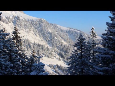 Brüsti/Schweiz - 2013