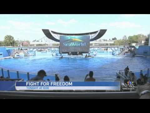CTV News at 6pm April 7