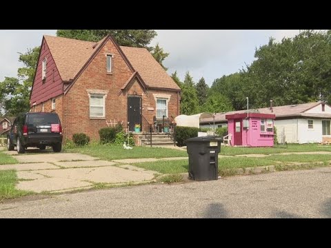 Detroit woman's food stand sits in front of her home on city's west side