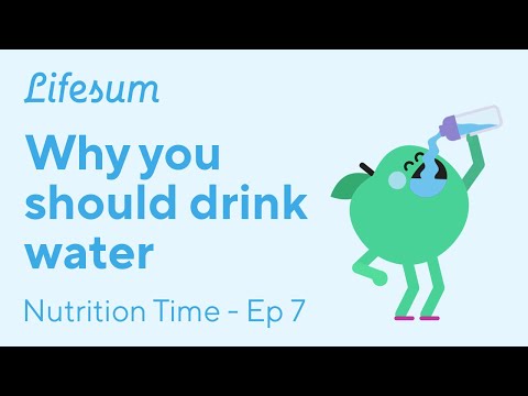 Why you should drink water | Nutrition Time - EP7 | Lifesum