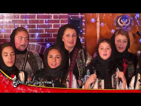 Grupul folcloric ”Moldava” - coord.  Lenuta Rusu