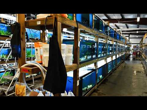 WOW! Imperial Tropicals Tour