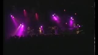 Shelter Through The Pain - Narnia (Legendado)