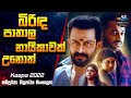 බිරිඳ පාතාල නායිකාවක් උනොත් | Kaapa (2022) Full Movie Sinhala Review | I