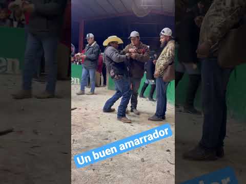 Buen amarrador de gallos #myyearonyoutube @gallerosoy @GallossantodomingoconDanny