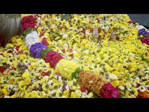 Flowers Vasavi temple 1lack flowers dasara malur