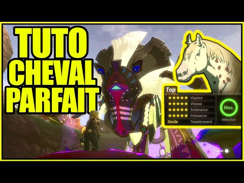 Astuce/TUTO | Avoir le cheval parfait | Zelda Tears of the kingdom