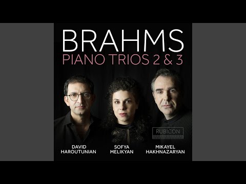 Piano Trio No. 2 in C Major, Op. 87: I. Allegro