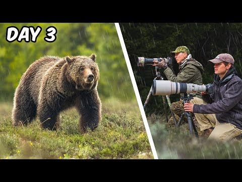 I Spent a Week Photographing Wildlife in Yellowstone