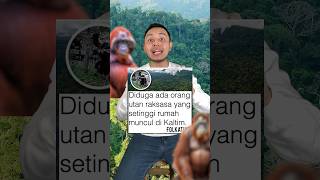 Download lagu Orang utan RAKSASA? Segede rumah? Hutannya berubah jadi IKN? #shorts mp3 Download lagu Orang utan RAKSASA? Segede rumah? Hutannya berubah jadi IKN? #shorts mp3