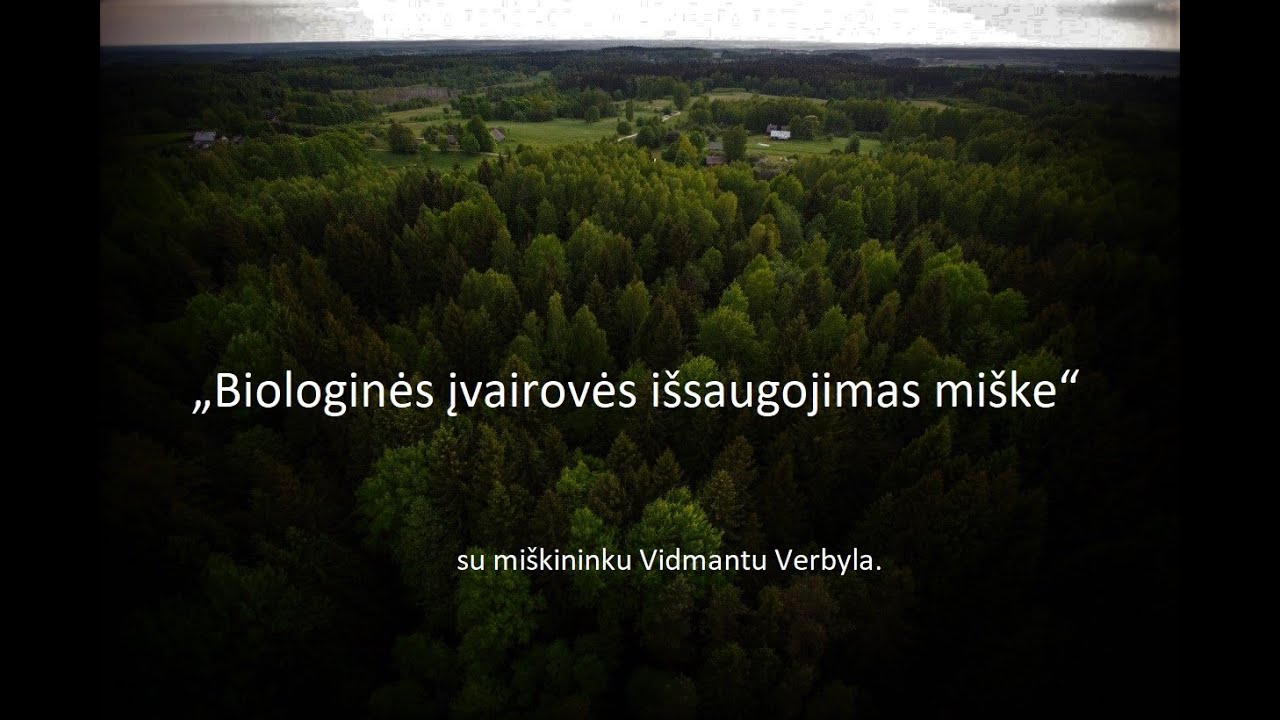 LDD Paskaita. „Biologinės įvairovės išsaugojimas miške“ su miškininku Vidmantu Verbyla.