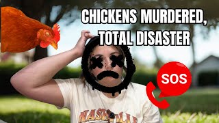 Total September Chaos: Chickens, Kids & Home Disasters