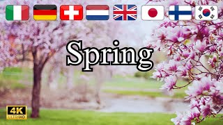 The Beauty of Spring Worldwide – 15+ Countries Explored!
