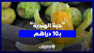 الحبة بـ10 دراهم.. غلاء الكرموس الهندي يثير غضب المواطنين  "10 بخمسين درهم بزاف" thumbnail