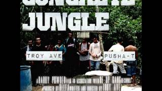 Troy Ave Ft. Pusha T - Concrete Jungle [2012 December Dirty CDQ NO DJ]