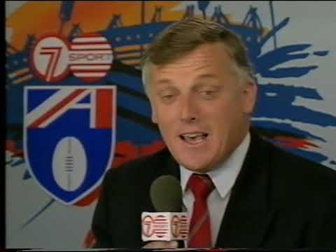 1993 AFL GRAND FINAL ESSENDON v CARLTON