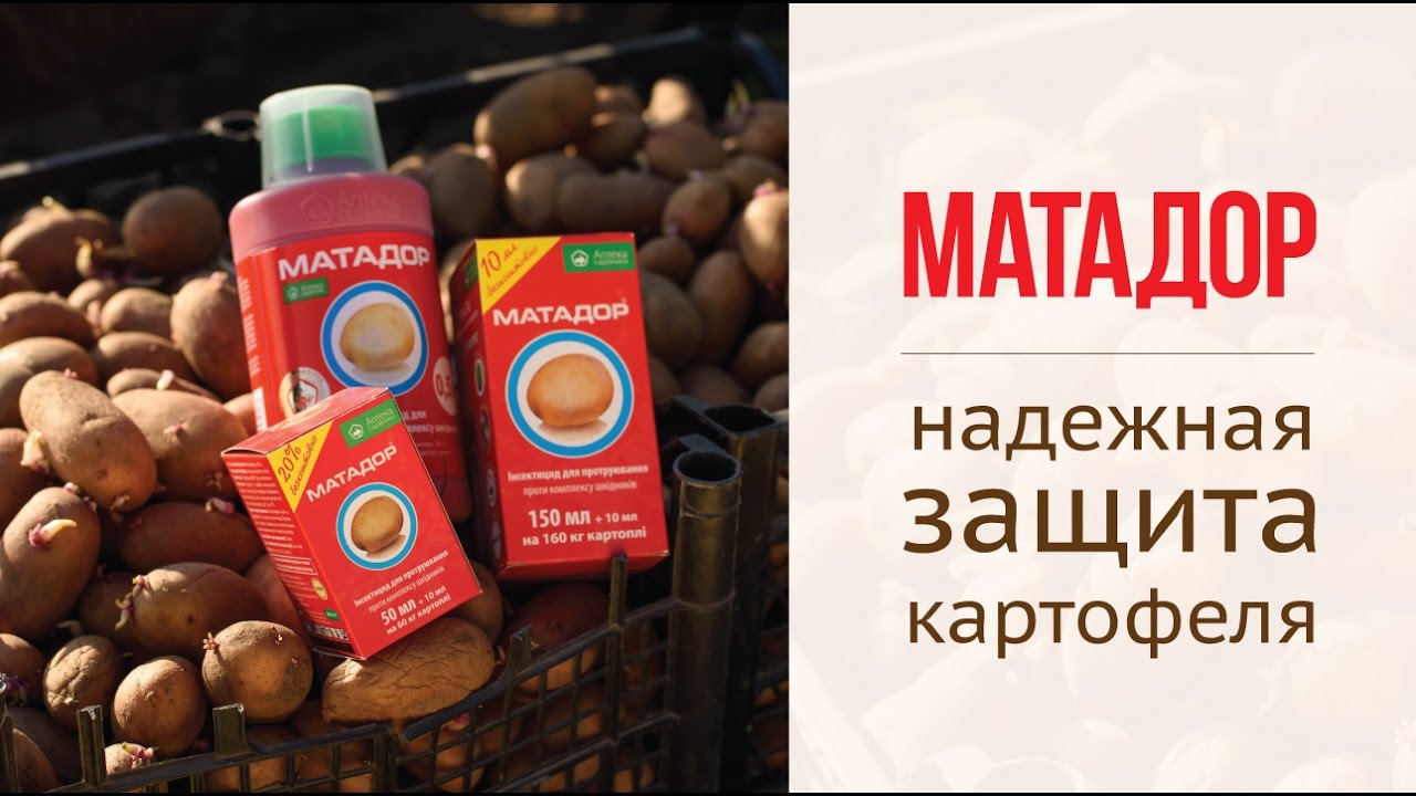 Протравитель Матадор — высокоэффективный инсектицид для защиты картофеля и зерновых культур